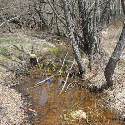 View looking upstream before Partridge Creek Phase One restoration