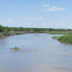 Middle Rio Grande / Albuquerque (NM)