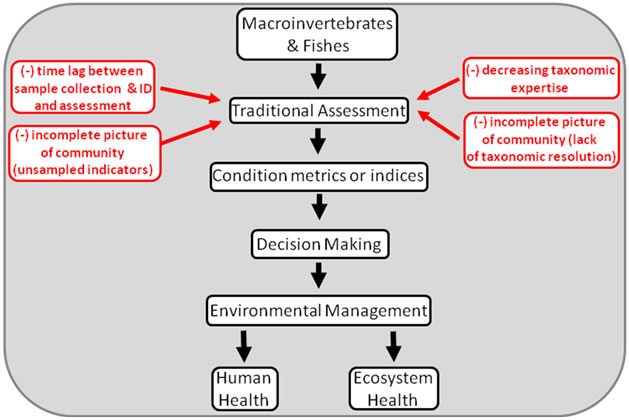 DNA barcoding flow