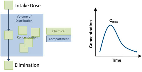 One-Compartment Model