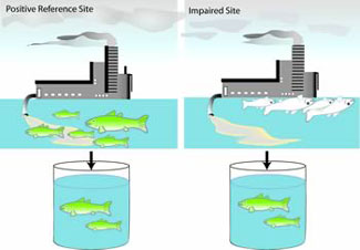 Figure 3-8b illustrates how fish in a positive reference site are still okay in an impairment but fish without the positive reference are dead.