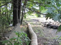 [During Construction] Erosion control measures installed around the perimeter of the site.