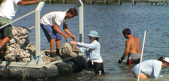 several people passing items between the water and a dock