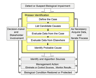 Figure 1. This illustrates the 5 steps to completing stressor identification.