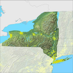 New York State Map