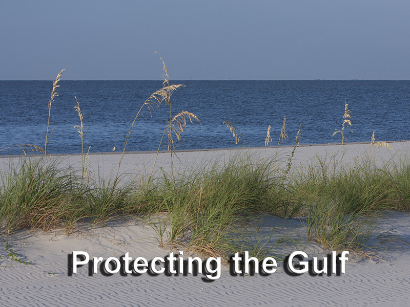 Photo of gulf of Mexico Beach