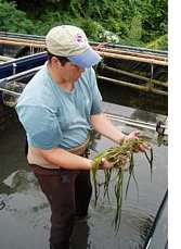 a man holding aquatic weeds