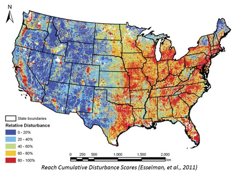 Map showing the Reach Cumulative Disturbance Scores. Esselman, et al 2011.