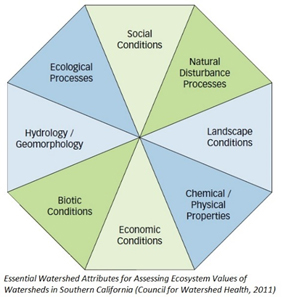 Diagram of Ecosystems. Social Conditions, Ecological Processes, Hydrology/Geomorphology, Biotic Conditions, Economic Conditions, Chemical/Physical Properties, Landscape Conditions, Natural Disturbance Processes