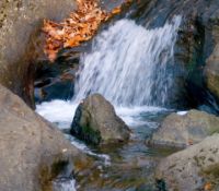 Photo of a stream making white water as it cascades down boulders and rocks.