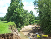 Photograph of an incised channel, Bobo Bayou, Mississippi.