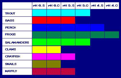 This table illustrates pH values that can be tolerated by different species.