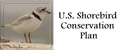 U.S. Shorebird Conservation Plan