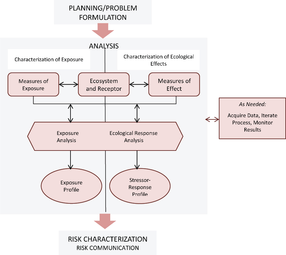 Planning/Problem Formulation