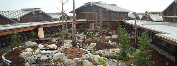 The Potawot Health Village in Arcata, California, featuring a 20-acre Conservation Easement, native plants and a wellness garden.