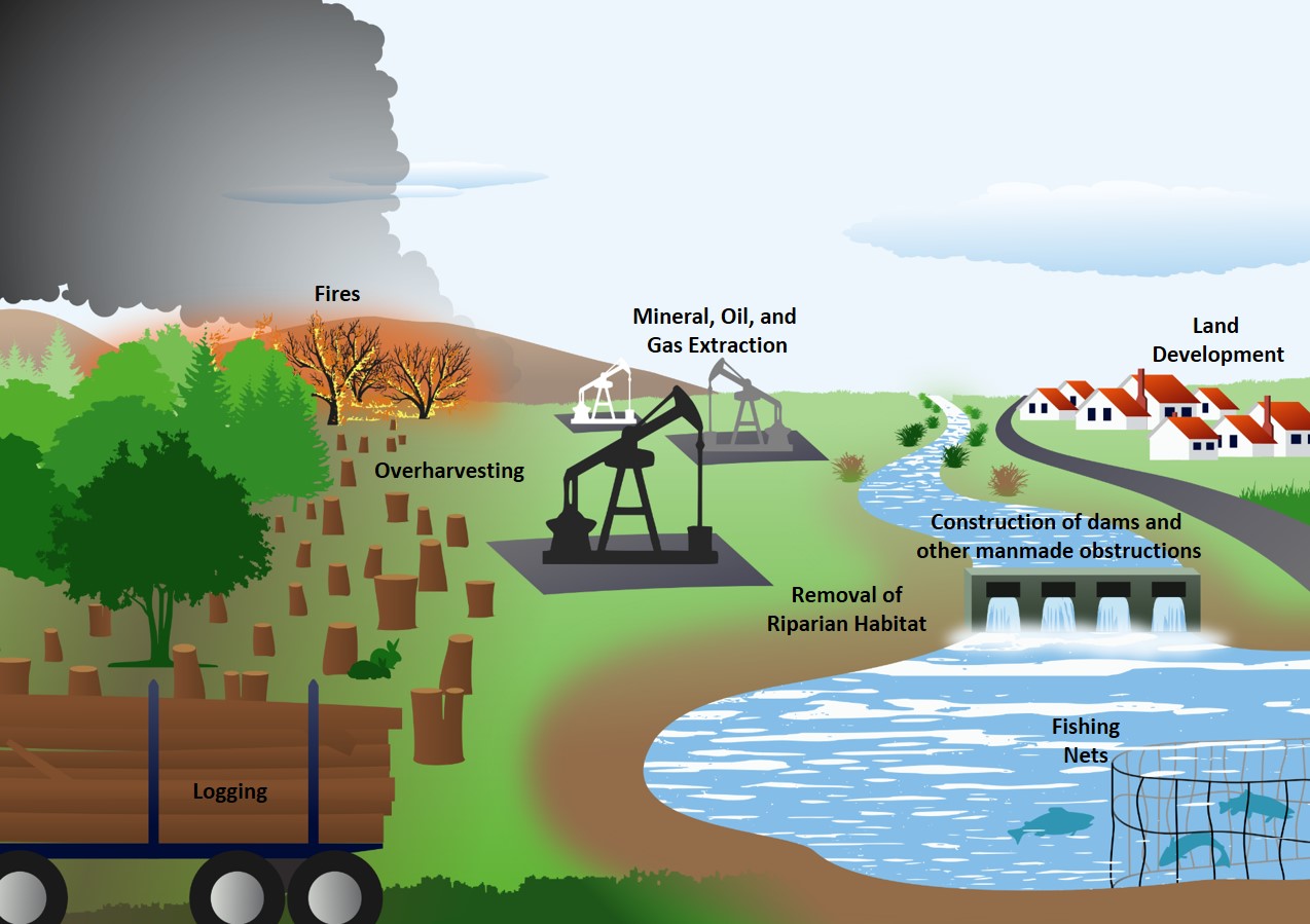 Examples of physical stressors related to human activities