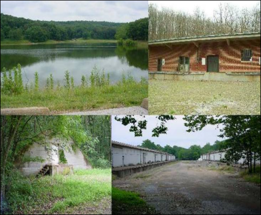 Tysons Valley Powder Farm