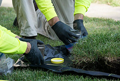 Collecting Soil Samples