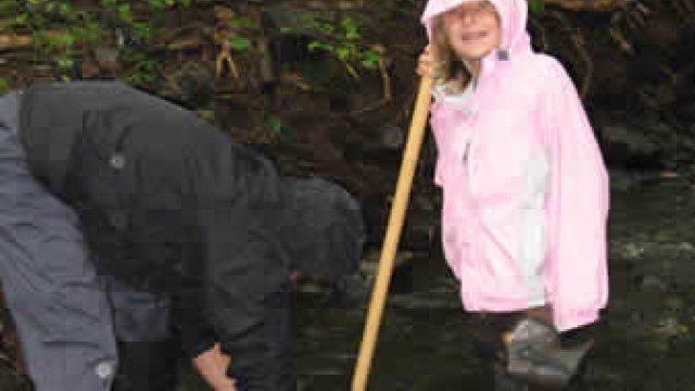 Volunteers collecting macroinvertebrates.