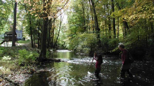 Volunteers surveying stream habitat stream.