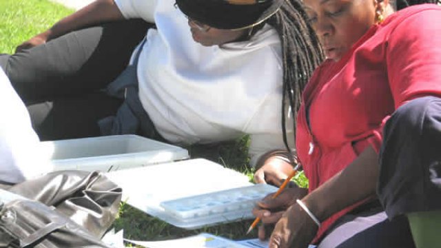 Volunteers identifying macroinvertebrates.