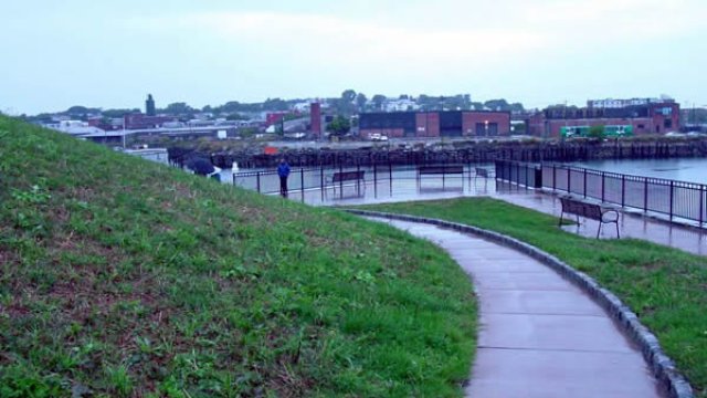 The Condor Street Urban Wild was opened to the public in October, 2003