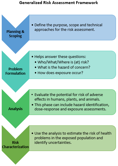 The four steps outlined in this framework include Planning and Scoping, Problem Formulation, Analysis and Risk Characterization.