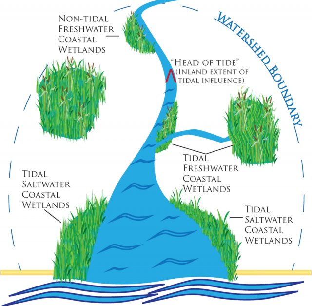 illustration of a watershed