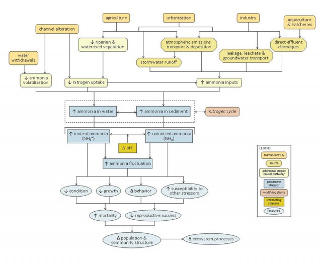 A simple conceptual diagram for ammonia