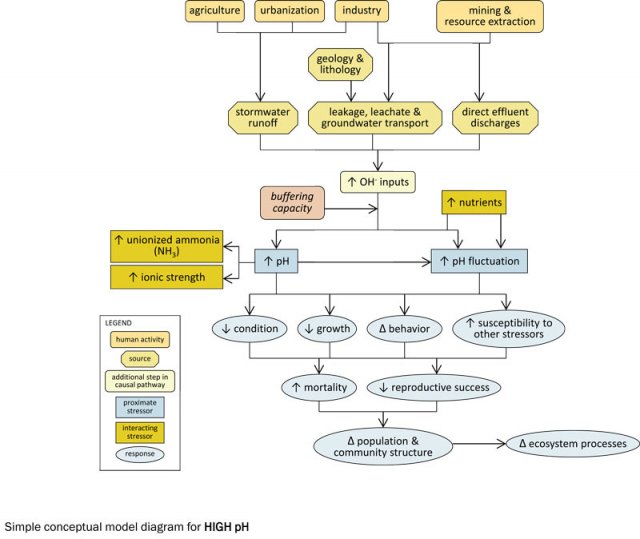 A simple conceptual diagram illustrating causal pathways, from sources to impairments, related to high pH. 