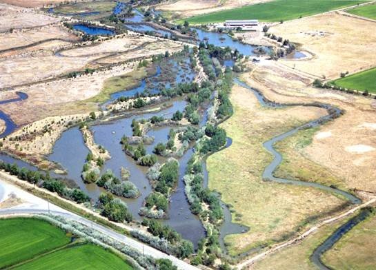 Restored perennial and season marsh and riparian forest at Wildlands Mitigation Bank, Placer County, California