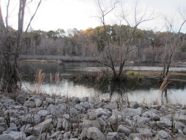 Wildlife area