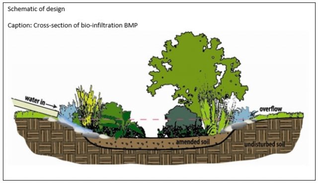 Cross-section of bio-infiltration BMP