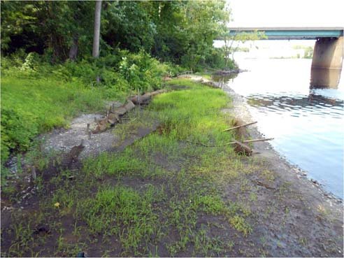 This picture shows a riverine fringing wetland habitat reconstruction effort. These efforts occur after the dredging and backfilling processes.