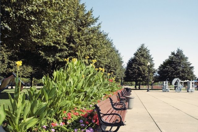 Green infrastructure in a Chicago park