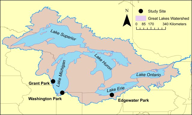 Great Lakes beach sample collection areas used for the ongoing MST study for Edgewater, Grant Park, and Washington Park study areas (ESRI. ArcGIS. Redlands, CA: Environmental Systems Research Institute).