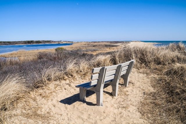 Bench overlooking water