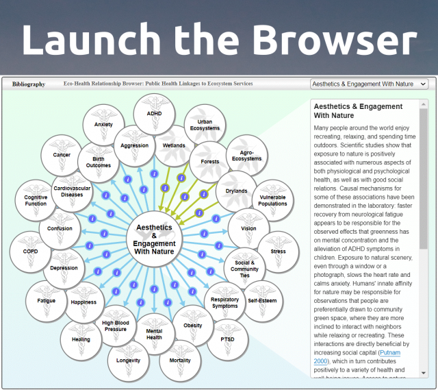 lauch the eco-health relationship browser