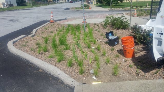 A bioinfiltration basin used in the Louisville study site.