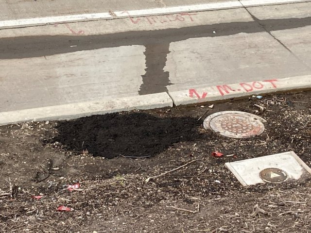 View of restoration at I-696 sump at the embankment