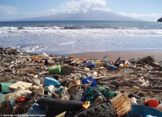 Large amount of marine debris at the beach 