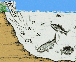 AQUATOX models the fate of various pollutants and how they affect aquatic life.