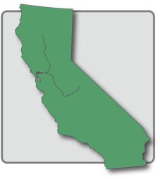 California State