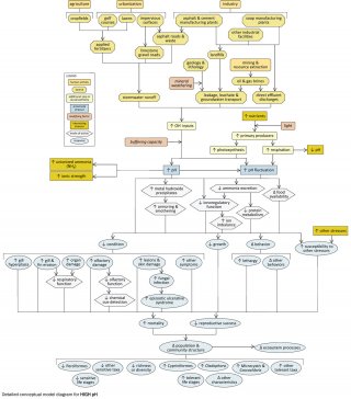 Snapshot of a detailed conceptual model diagram for High pH.