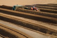 Applying compost to farmland