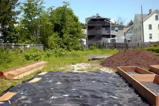 Burton Street Community Garden from the Beginning...