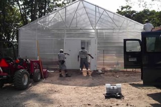 Crownbrook Greenhouse &amp; Children's Community Garden - After