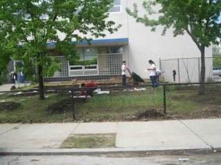 Students from Feinstein High School in Providence, RI converted the south-facing lawn of their high school campus into 7,000 sq feet of growing space, producing hundreds of pounds of vegetables for students and neighborhood families.