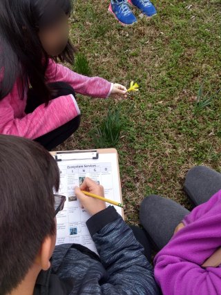 Ecosystem Services kids outdoor activity