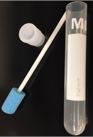 Photo showing a sponge stick and test tube for collecting saliva samples.